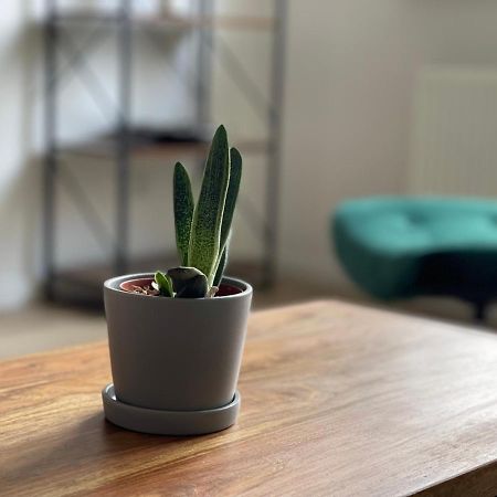 Modern * Zentral * Netflix * Arbeitsplatz Apartment Wuppertal Ngoại thất bức ảnh
