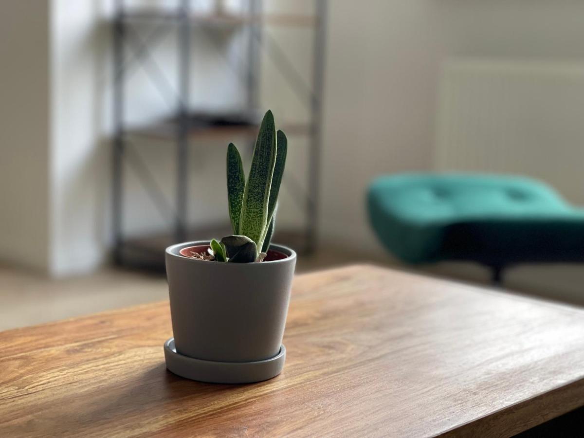 Modern * Zentral * Netflix * Arbeitsplatz Apartment Wuppertal Ngoại thất bức ảnh